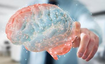 Curso de neuropsicología