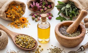 Curso de plantas medicinales