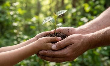 Curso de medio ambiente