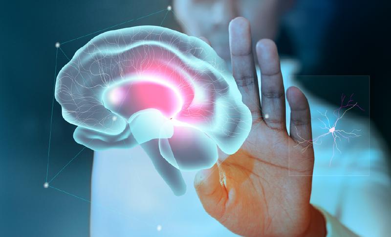Curso de neurociências e comportamento humano	