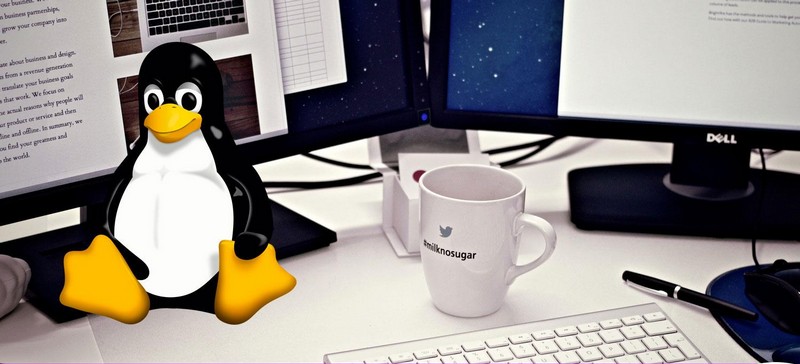 Conceptos básicos de Linux Fedora